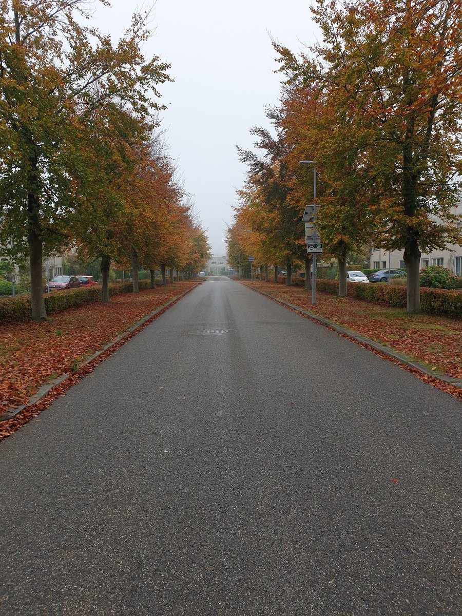 Dit is ook <a href="/gem_Lelystad/">Gemeente Lelystad</a> .