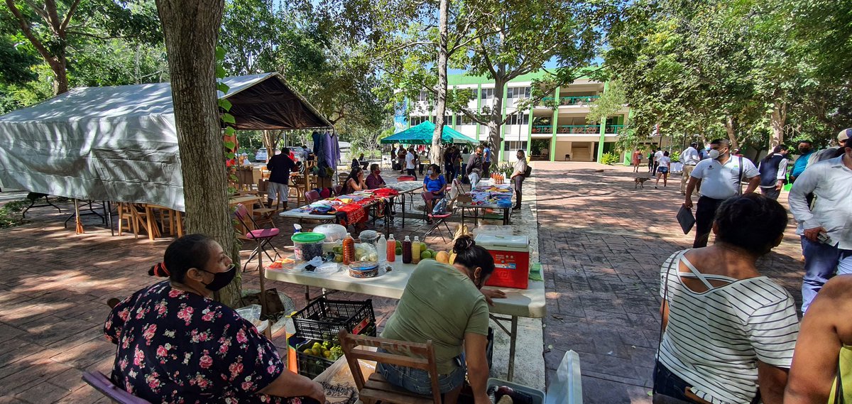 badtzyfiore's tweet photo. Hoy madrugamos para iniciar el día desde un rincón de la #zonamaya de #QuintanaRoo 
Sumando esfuerzos, cada grano abona, por un nuevo estilo de turismo 

#TurismoEnCadaRincon #turismorural #turismocomunitario #turismoinclusivo #6tocongresomexicanodeturismorural https://t.co/fyWsVLqATS
