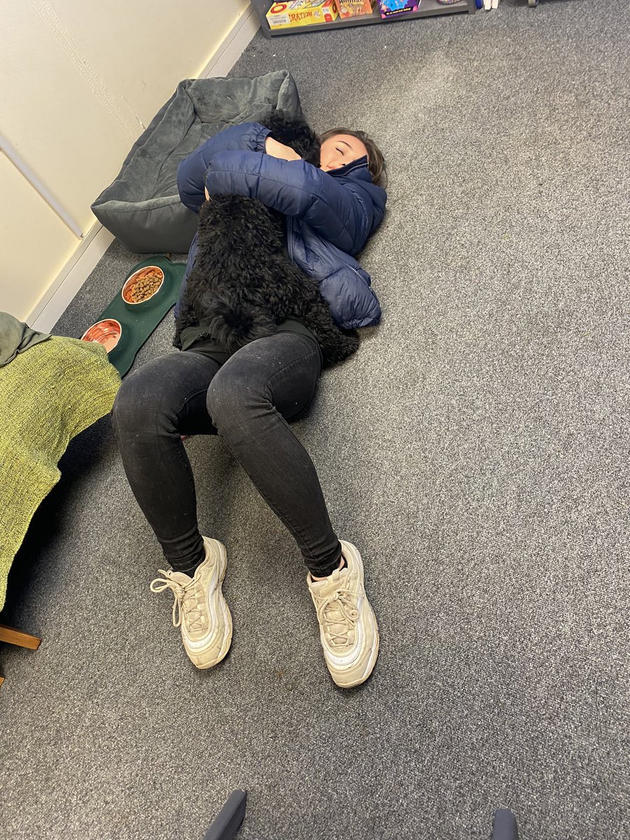 int3rv4nti0ns's tweet photo. Tux loves Mya and Mya loves Tux! It’s always a pleasure to have a visit from Mya @TheRowansAP 🐾 🐶 #SchoolDog #ThisIsAP https://t.co/QEzs0wORsN