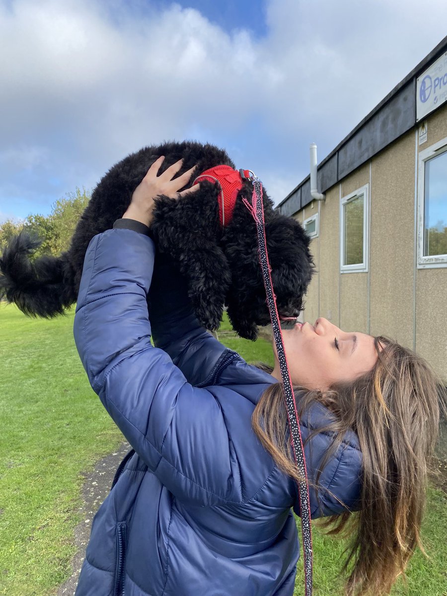 int3rv4nti0ns's tweet photo. Tux loves Mya and Mya loves Tux! It’s always a pleasure to have a visit from Mya @TheRowansAP 🐾 🐶 #SchoolDog #ThisIsAP https://t.co/QEzs0wORsN