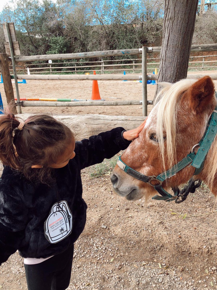grasisoler's tweet photo. Sabieu que els els ponis mengen garrofes!!
I pinso també, clar!! 🐎🌾Els infants de P4👨🏽🦰👱🏽♀️ cotinuem aprenent sobre els ponis, com s'han de cuidar i d'estimar. Hem anat al #Poniclub, a Sant Just i hem passat un dia fantàstic!!
#treballperprojectes
#ponis
#Infantil https://t.co/71EFq7juN7