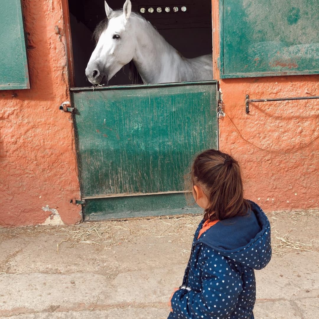 grasisoler's tweet photo. Sabieu que els els ponis mengen garrofes!!
I pinso també, clar!! 🐎🌾Els infants de P4👨🏽🦰👱🏽♀️ cotinuem aprenent sobre els ponis, com s'han de cuidar i d'estimar. Hem anat al #Poniclub, a Sant Just i hem passat un dia fantàstic!!
#treballperprojectes
#ponis
#Infantil https://t.co/71EFq7juN7