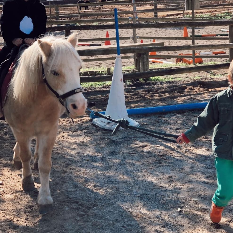 grasisoler's tweet photo. Sabieu que els els ponis mengen garrofes!!
I pinso també, clar!! 🐎🌾Els infants de P4👨🏽🦰👱🏽♀️ cotinuem aprenent sobre els ponis, com s'han de cuidar i d'estimar. Hem anat al #Poniclub, a Sant Just i hem passat un dia fantàstic!!
#treballperprojectes
#ponis
#Infantil https://t.co/71EFq7juN7