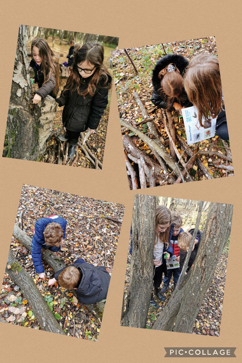 beanxMrsRowan's tweet photo. Today we went to Jupiter for our wild challenge and hunted for minibeasts ππ #bpsoutdoorlearning @JupiterWildlife https://t.co/zw6LIswG9A