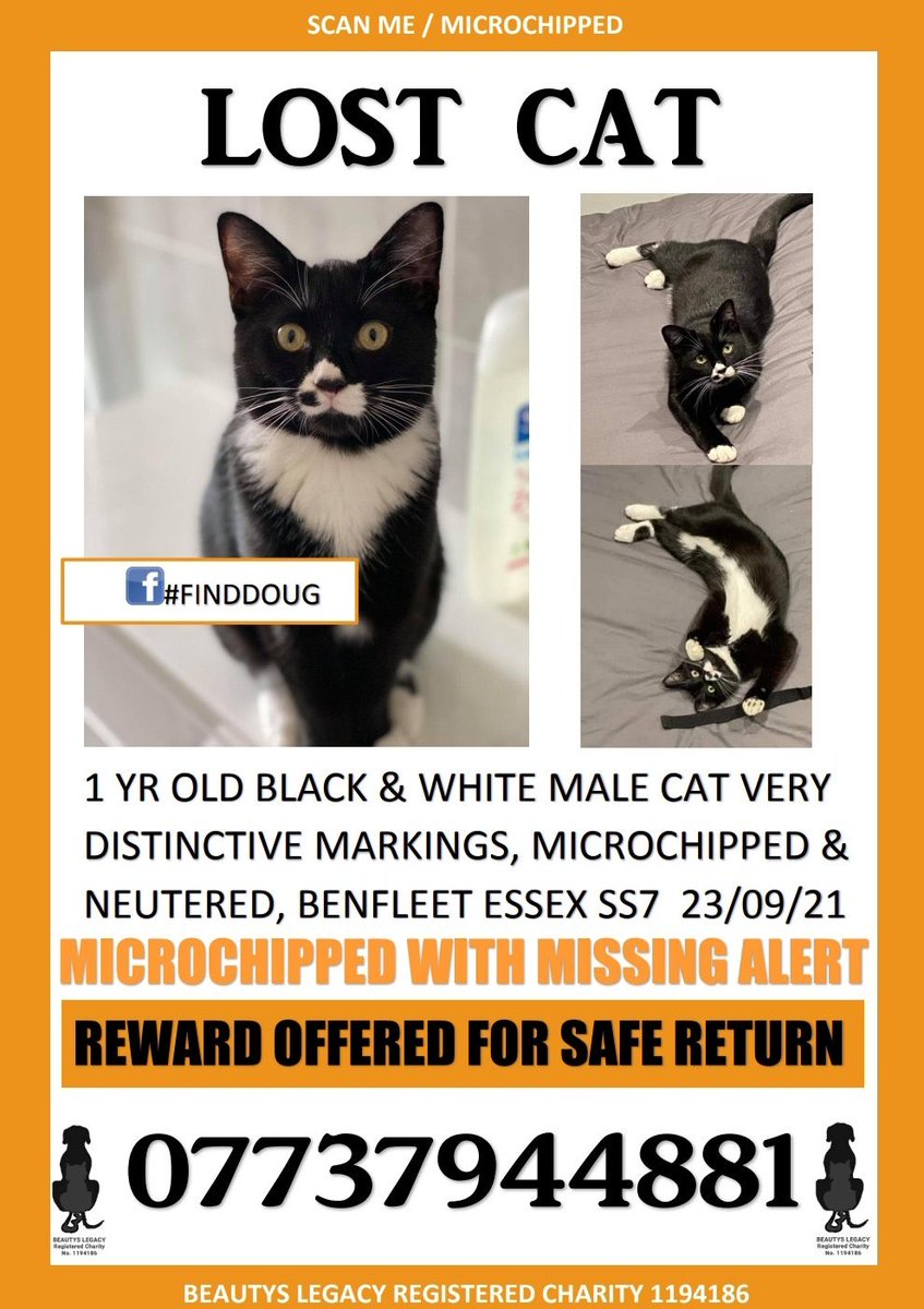 janice_adams3's tweet photo. ‼️DOUG NEEDS AN ARMY‼️
https://t.co/wk71b2fswU…
Doug is almost a year old, missing from Benfleet Essex, SS7 since 23/09/21
Hes black & white with very distinctive markings. Neutered & microchipped
‼️REWARD OFFERED FOR SAFE RETURN‼️
☎️07737944881☎️
#finddoug
@MistKatten https://t.co/PSUY70j7Qa