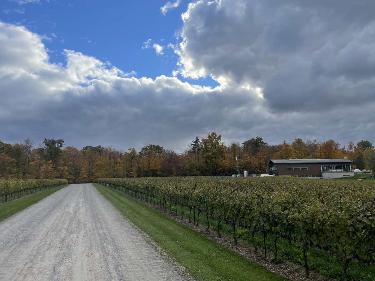 Congrats to our cellar team we are finished bringing in fruit for 2021! What a year!  Now the work begins in the cellar.  #Harvest2021 <a href="/RichieWine/">Richie Roberts</a> @TankhopperClark <a href="/Stevenson212/">Julia Stevenson</a> Kevin!