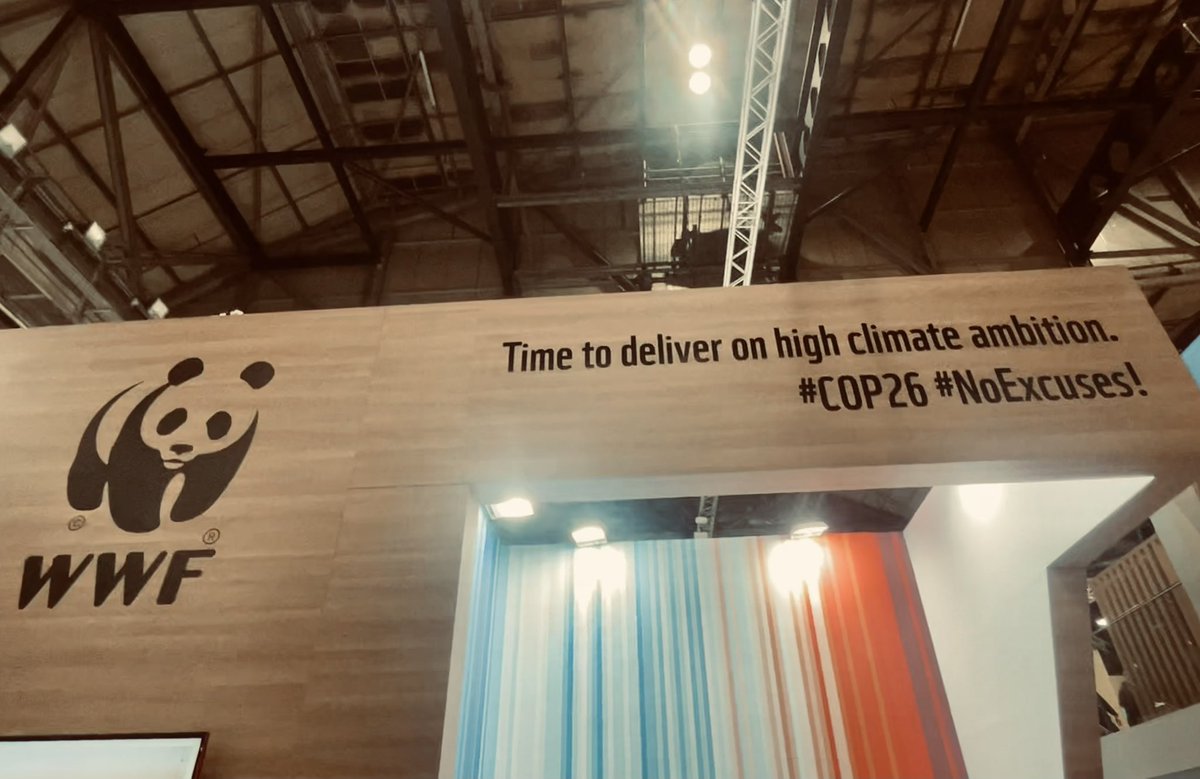 sarahaslam1012's tweet photo. Got a chance to speak at the Pakistan Pavilion at #COP26 today about how climate change and the youth are interlinked. We need to be the change we want to see in the future - there is no ‘me’ or ‘you’ in climate change, there is only us. https://t.co/vRgxQnibHE