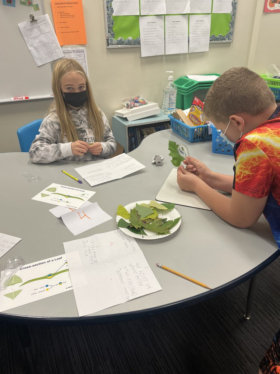 Lacie Urban tweet media