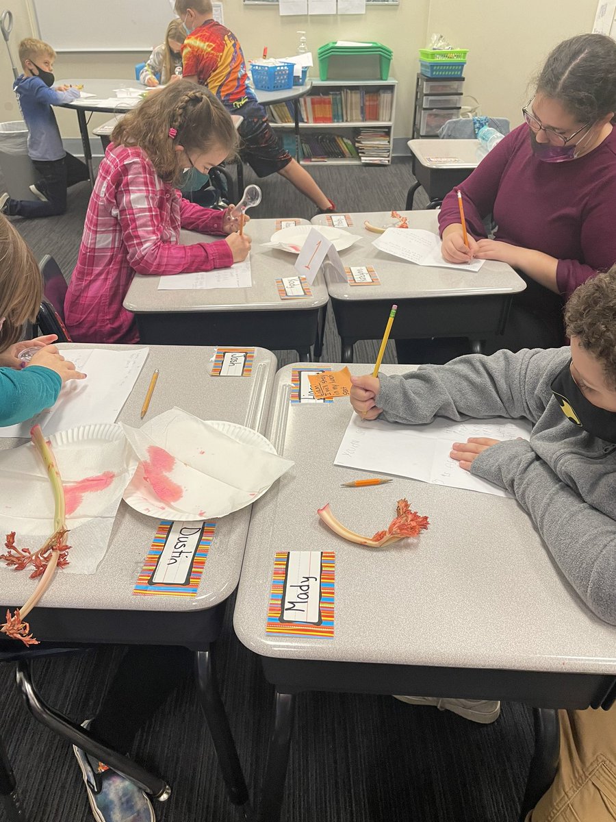 Lacie Urban tweet media