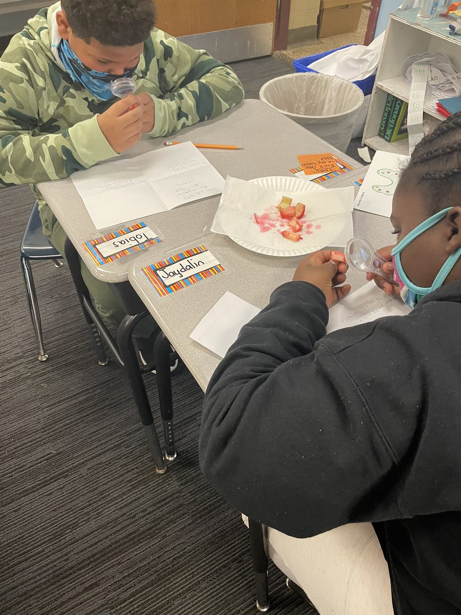 Lacie Urban tweet media