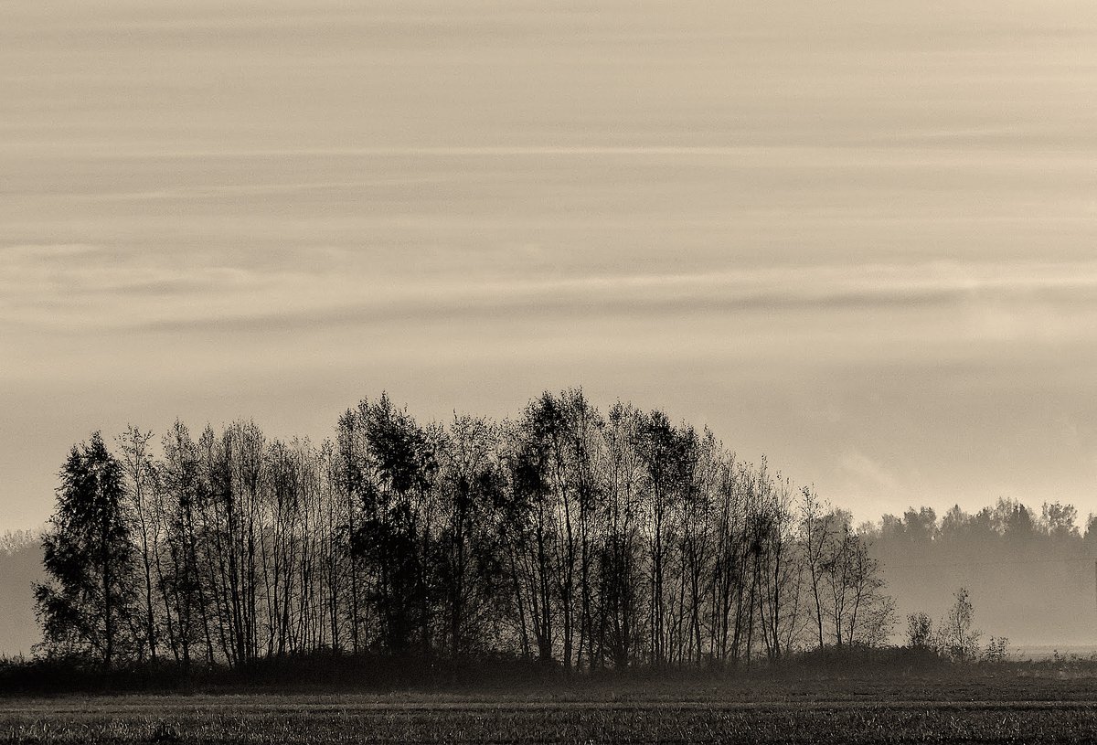 I wish you a peaceful night 🌟