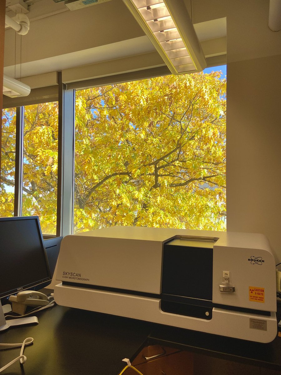 Stacy Nguyen tweet media