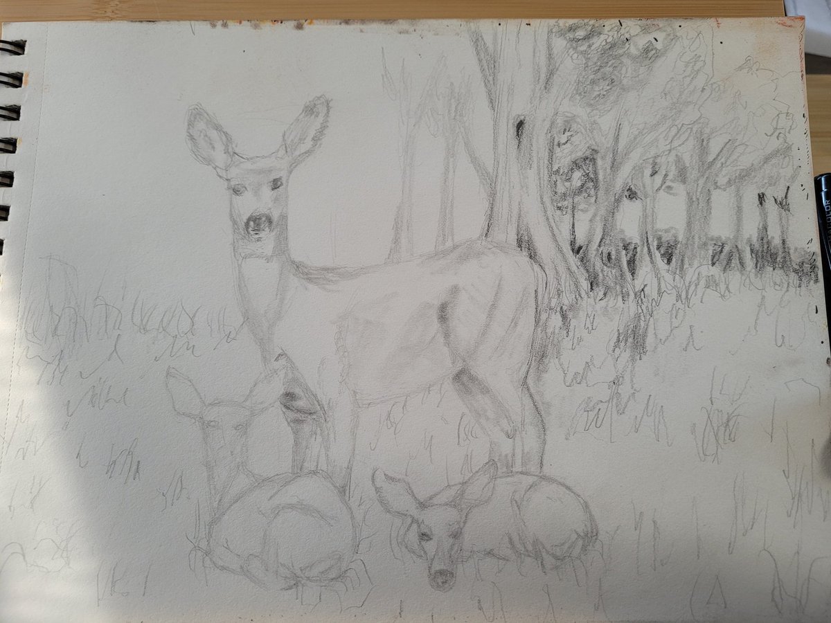 KhioriCreative's tweet photo. Today's drawing is a work in progress of some Mule Deer we saw in Alamosa Colorado!
.
.
.
.
.
#sketchbook #wip #drawing #art #muledeer #deer #fawn #pencilsketch #Colorado #Alamosa #natureart #animalart #deerdrawing #exploreart #khioricreative #Khiori https://t.co/UGkYgmeJmP