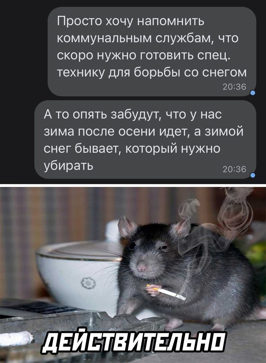 Пьяный Твиттер (@drunktwi) on Twitter photo 