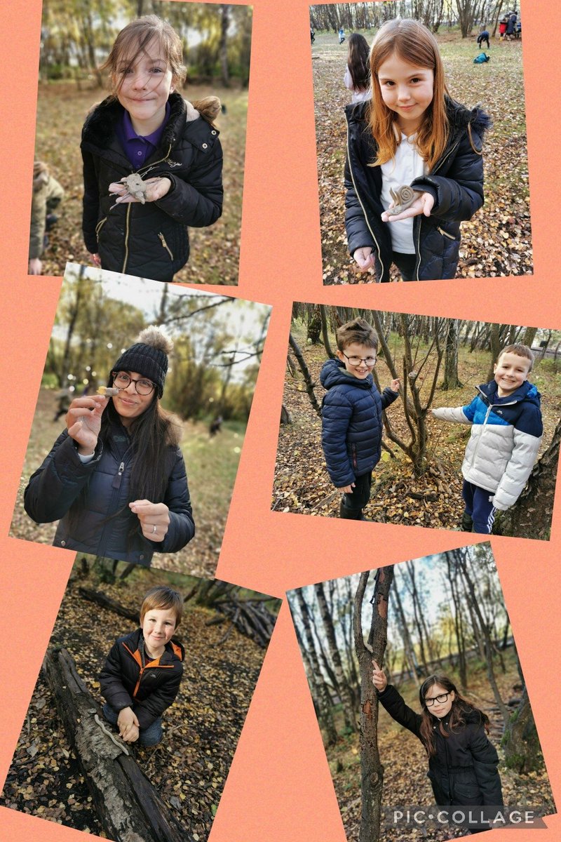 beanxMrsRowan's tweet photo. After hunting for minibeasts we looked carefully at their features before creating our own minibeasts using natural clay. Then we hid them in the natural environment for others to find βΊοΈ #bpsoutdoorlearning @JupiterWildlife https://t.co/l8ZSGwrMPS