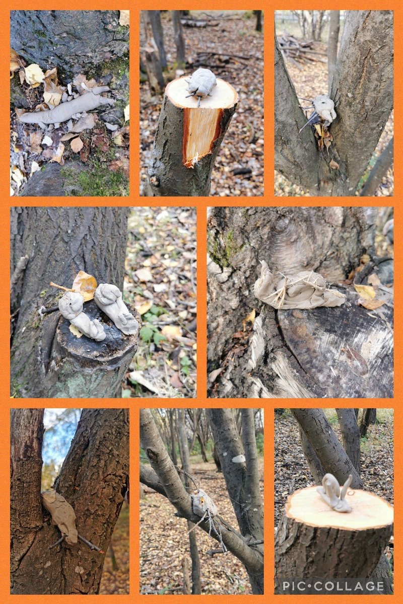 beanxMrsRowan's tweet photo. After hunting for minibeasts we looked carefully at their features before creating our own minibeasts using natural clay. Then we hid them in the natural environment for others to find βΊοΈ #bpsoutdoorlearning @JupiterWildlife https://t.co/l8ZSGwrMPS