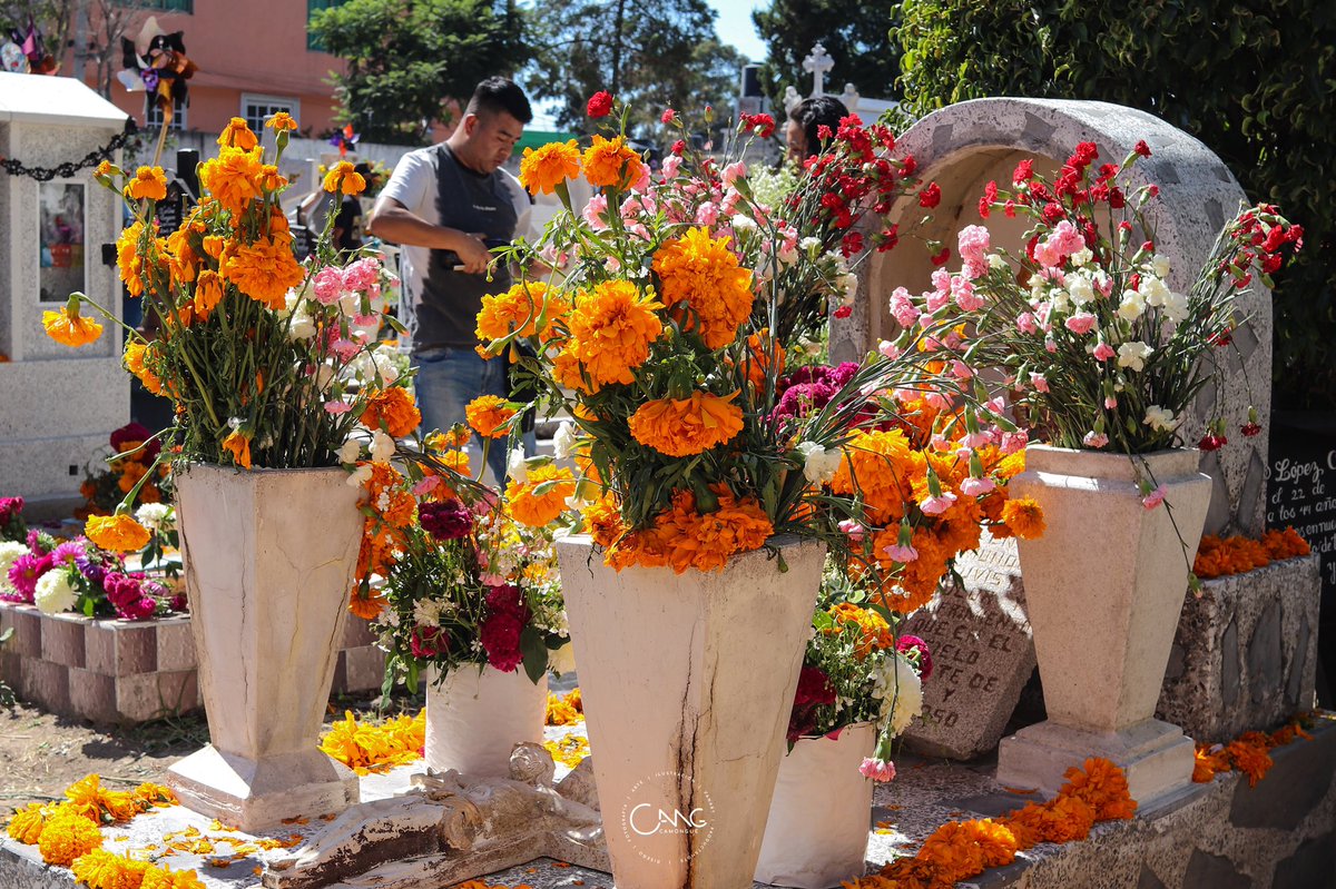 camongue's tweet photo. Día de muertos / #CDMX

#DíaDeMuertos #México #Panteones #Tradiciones 

@TurismoCDMX https://t.co/mpyJ35D4gG