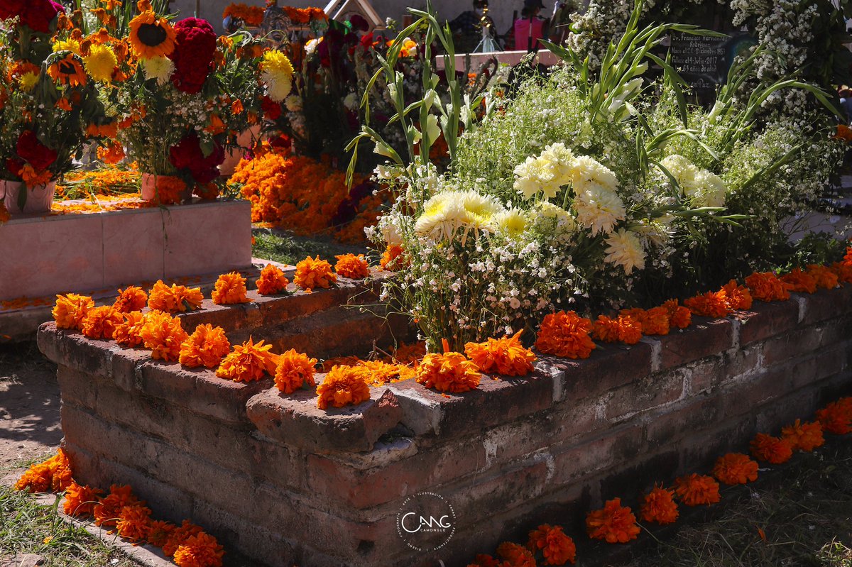 camongue's tweet photo. Día de muertos / #CDMX

#DíaDeMuertos #México #Panteones #Tradiciones 

@TurismoCDMX https://t.co/mpyJ35D4gG