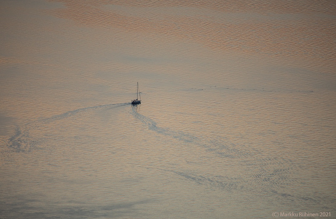 MarkkuRiihinen's tweet photo. A sailboat on a fjord
#Tromsø #Norway
#Tromssa #Norja
#sunset #sun #sailboat #marine
#weather #travel #autumn #fall
#photography #sää #syksy #valokuvaus
#nature #luonto #vuono #winter #fjord https://t.co/THXF2LKF7n