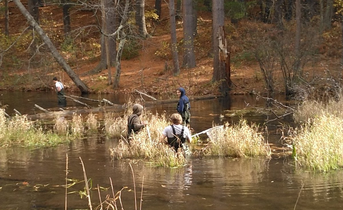 Best way to get good data for water quality testing is to pull up the waiters and get on in to Crooked Springs Conservation area.  <a href="/ChelmsfordSci/">Chelmsford Schools Science Department</a>