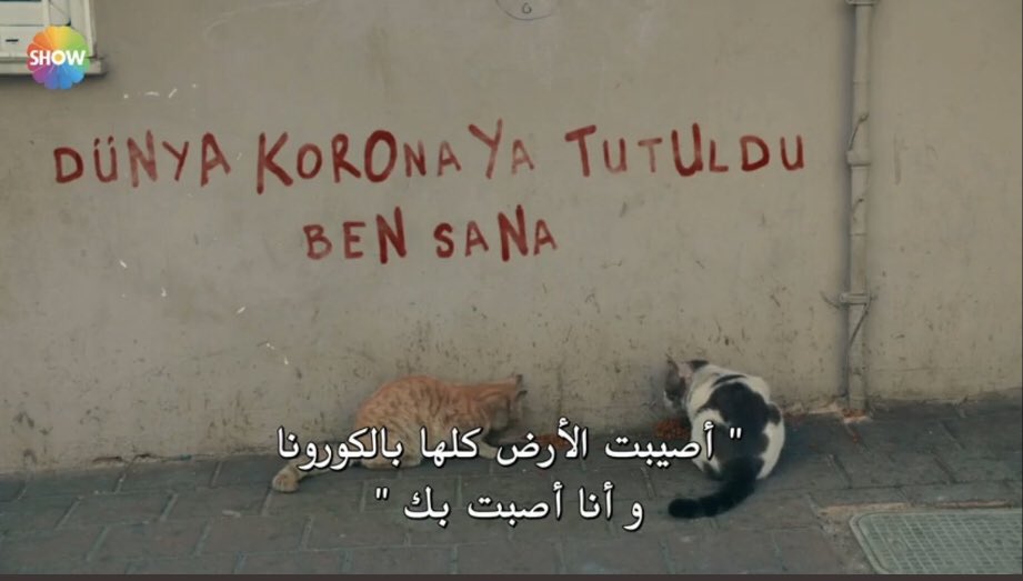 . (@ii10oc) on Twitter photo 