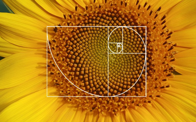 The Golden Ratio is all around us in nature and art. But do you know how it relates to design and, more specifically, signage?
Learn here --> bit.ly/2ZOQTvd
#design #goldenratio #interiordesign #signage #wayfinding