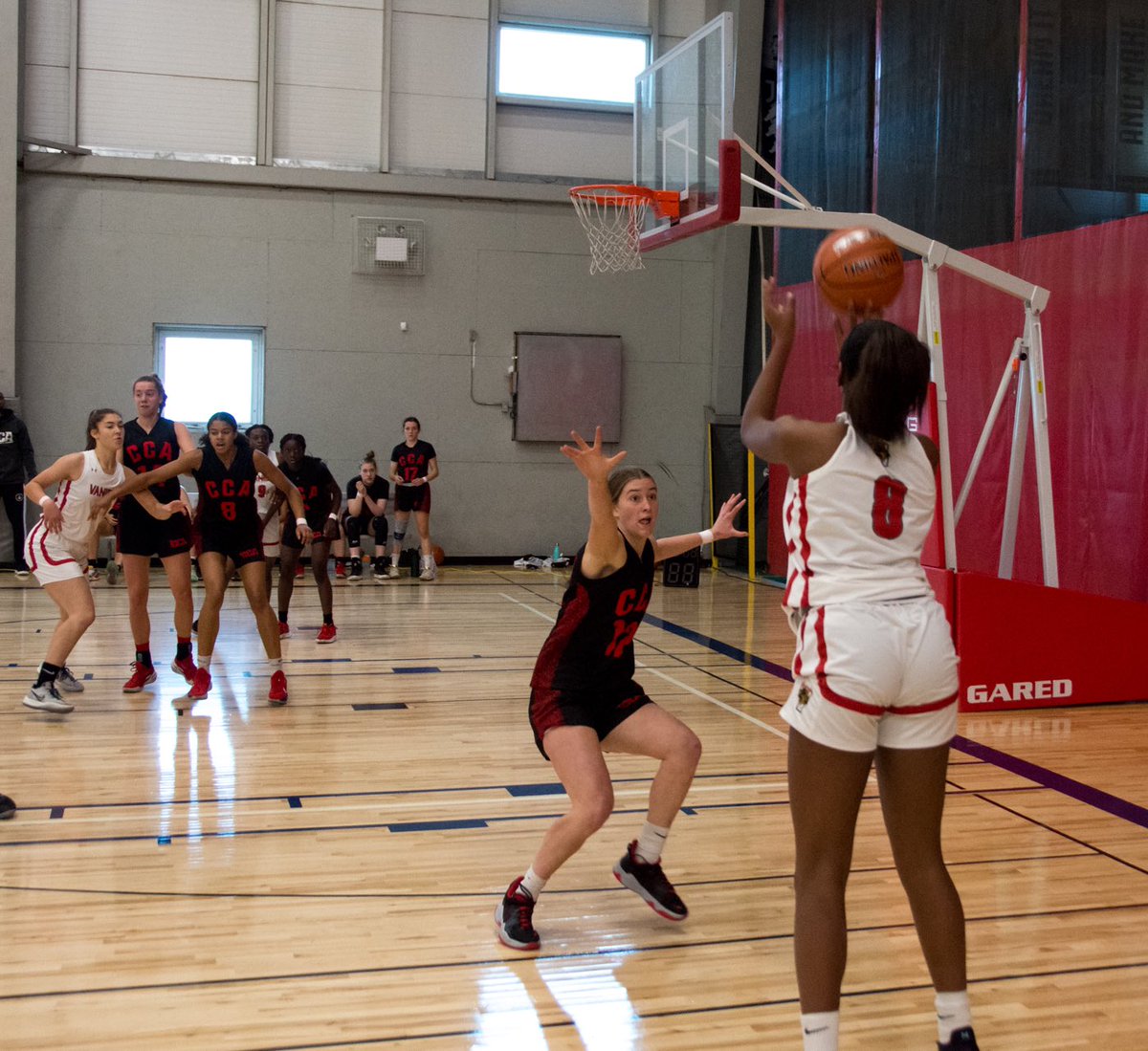 Ella Take tweet media