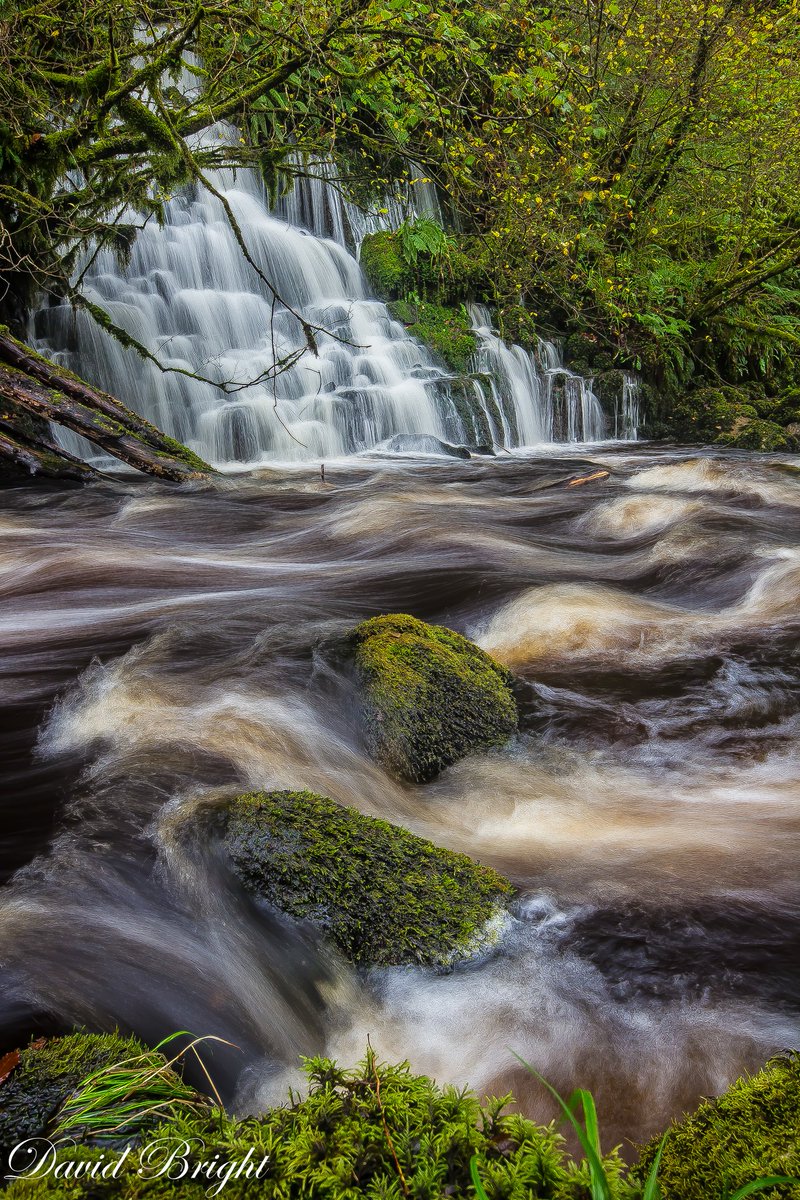 Bulk10Db's tweet photo. Cladagh Glen co.Fermanagh#cladaghglen #fermanagh #fishing #NorthernIreland #photography #Longexposure @NorthernIreland @fermanaghlakes @Fermanagh_Hour @NITouristBoard @enniskillentown https://t.co/u3dQzITxer