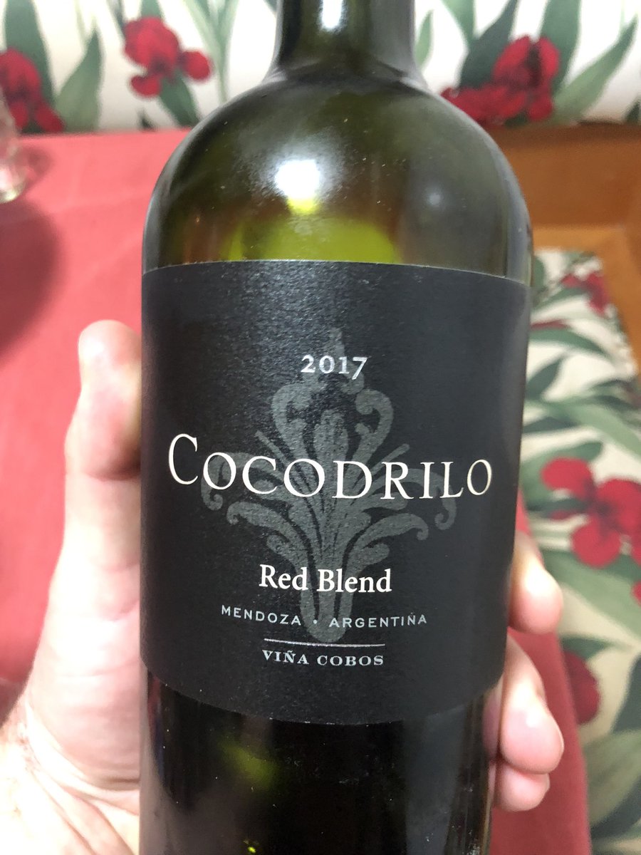 iboesing's tweet photo. Filhotinho de crocodilo. https://t.co/pRH58ywPyC