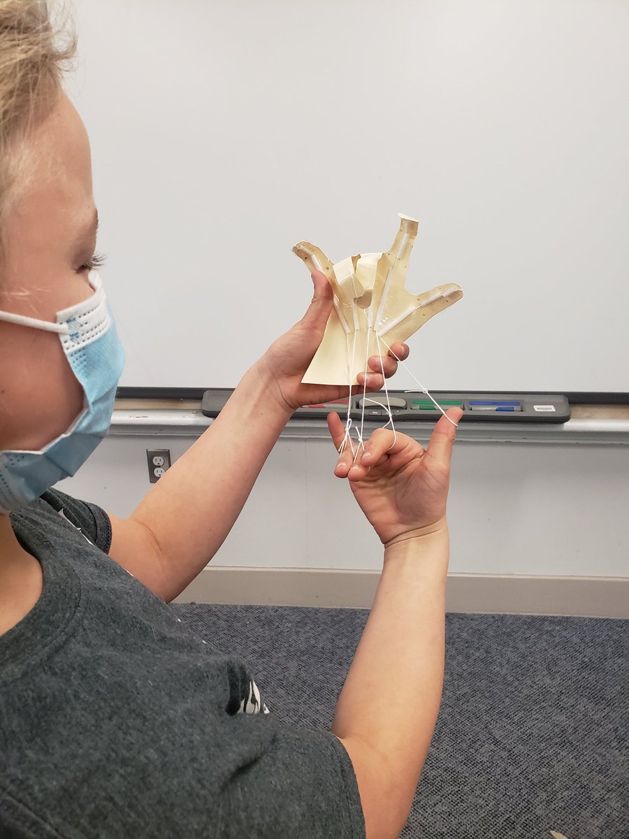 MrsShowers56's tweet photo. Human Body Systems 🦴✌ Luckily the most creative thing they thought to do with the hand model was play rock, paper, scissors 😆 https://t.co/r5Z17NtMWF