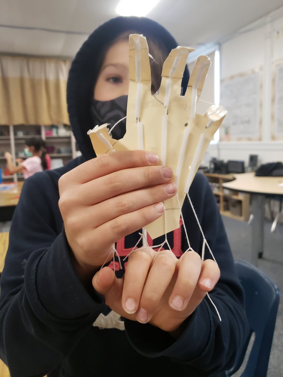 MrsShowers56's tweet photo. Human Body Systems 🦴✌ Luckily the most creative thing they thought to do with the hand model was play rock, paper, scissors 😆 https://t.co/r5Z17NtMWF
