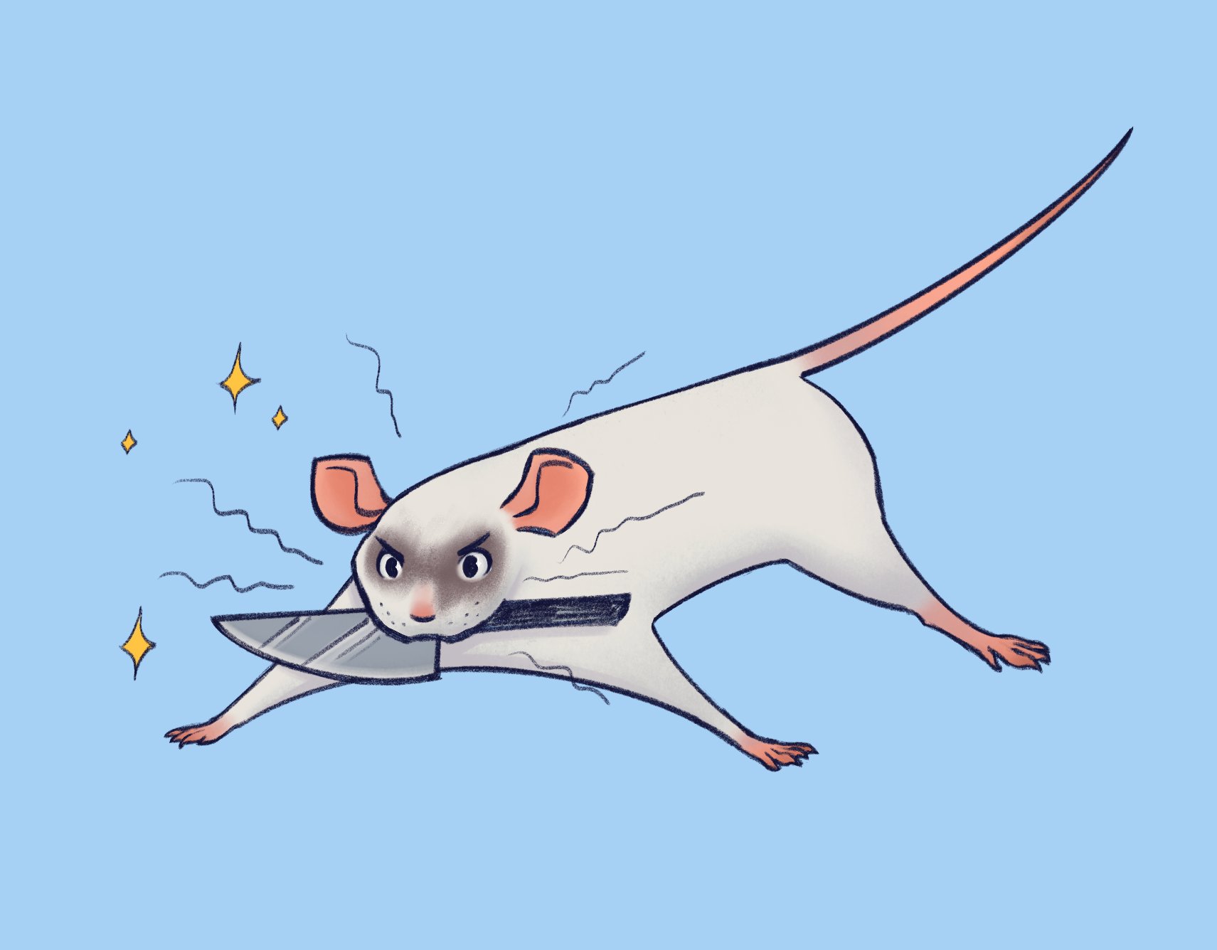 Vancouver Rat Club on Twitter: Vancouver Rat Club on Twitter: