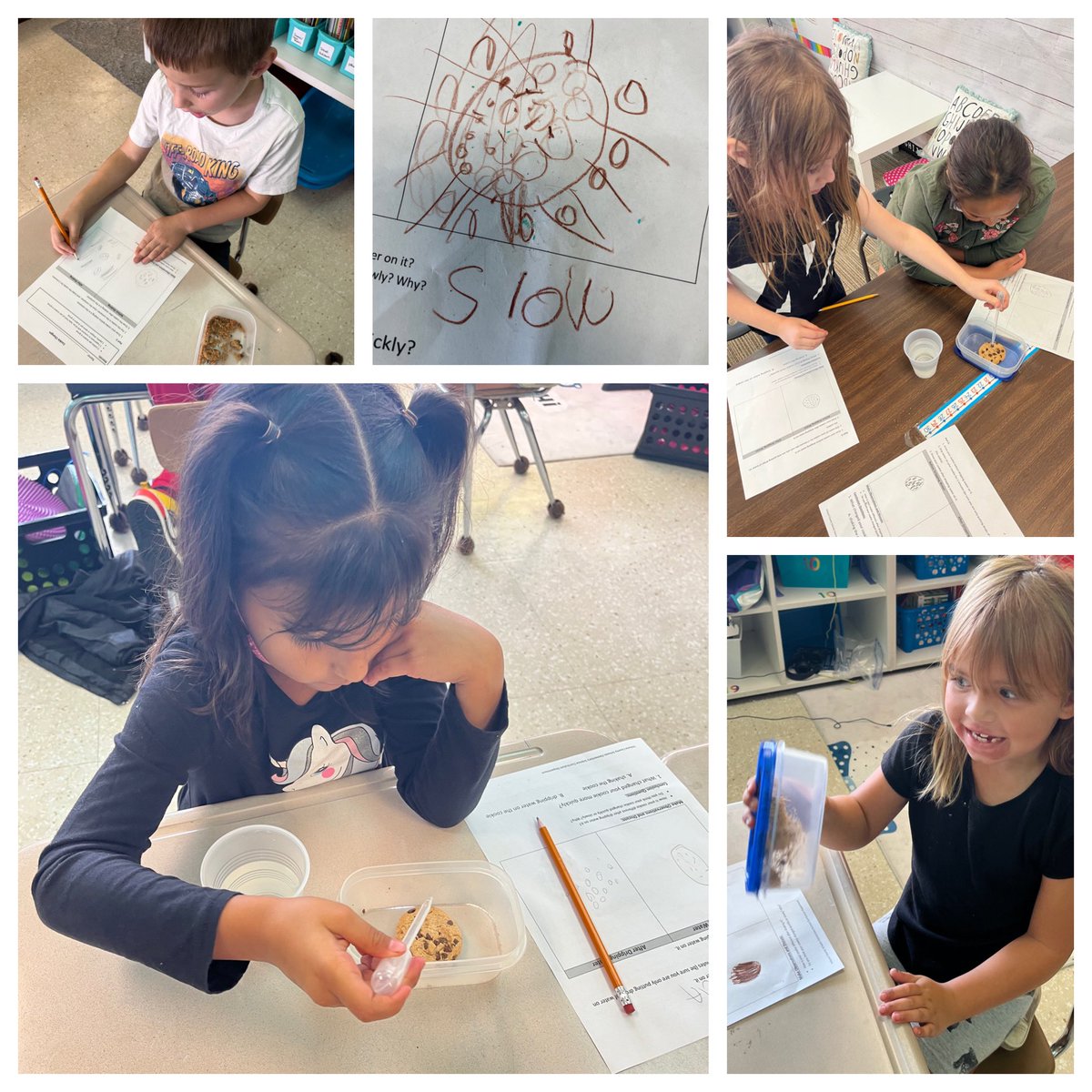 AlexisM05683022's tweet photo. Modeling fast and slow changes with our cookie investigation today from #vcsscientists @HHSK8Knights https://t.co/NndnWncoHC