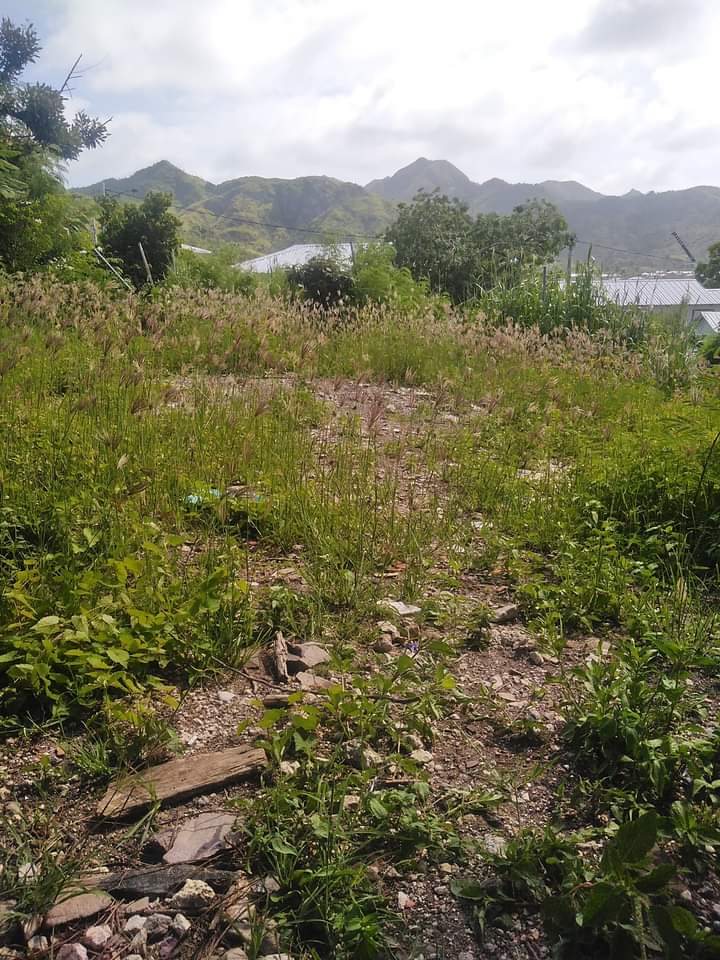 Allison38603877's tweet photo. Según la base datos pac, mi vivienda esta siendo intervenida para entregar en Noviembre. Donde se esta interviniendo? Que casa me entregarán en noviembre? La información es FALSA, no estan interviniendo mi casa. Aquí esta la evidencia! @CaracolTV @JuanDiegoAlvira @TeleislasNews https://t.co/SZ2V1gl2ja