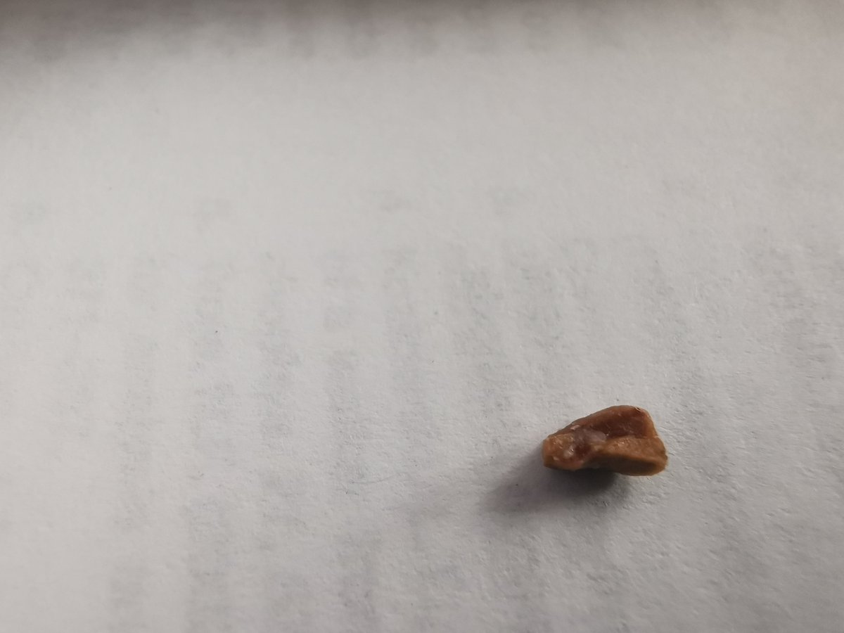 Harry Disco tweet media