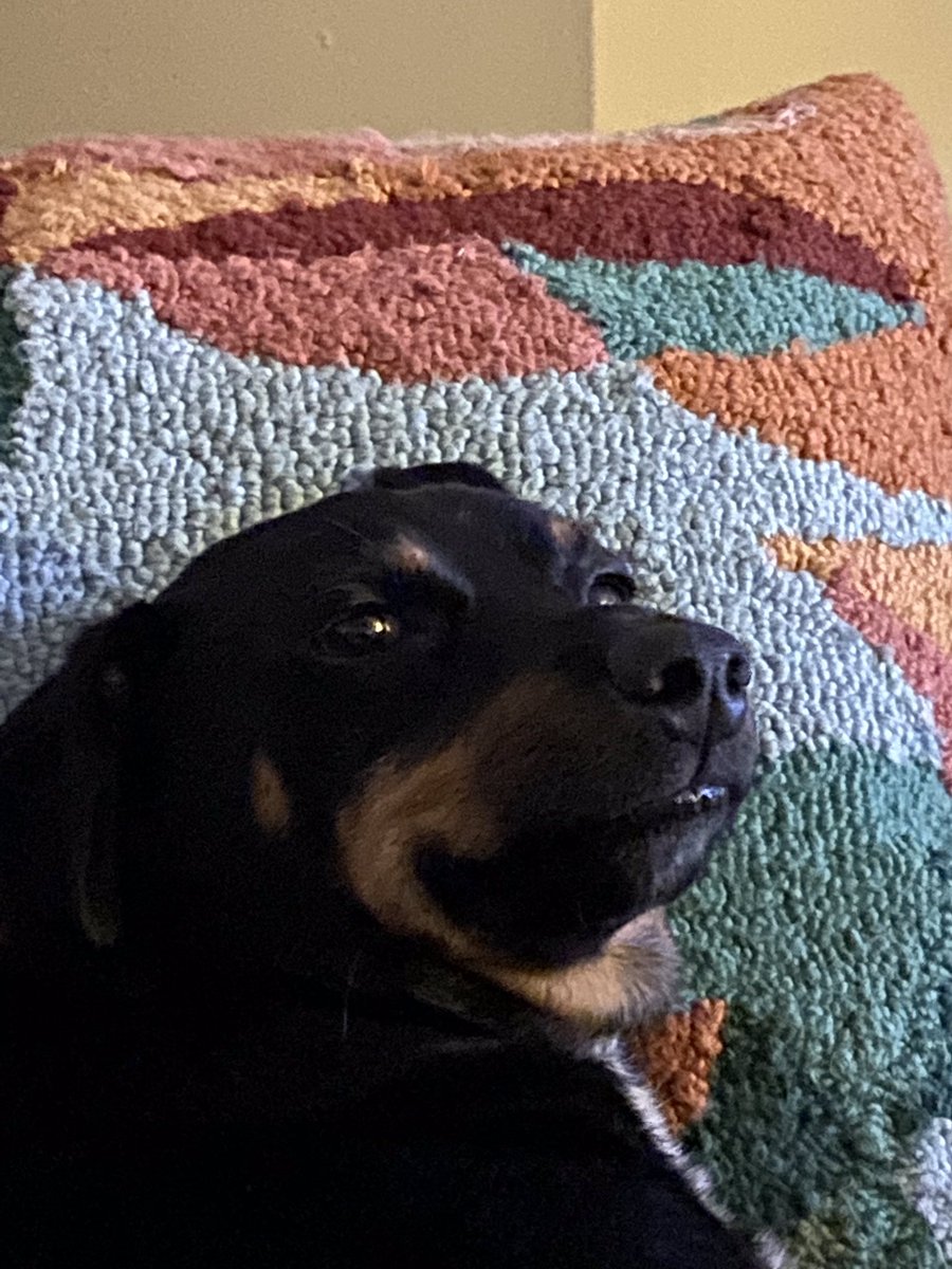 Bread Boy tweet media