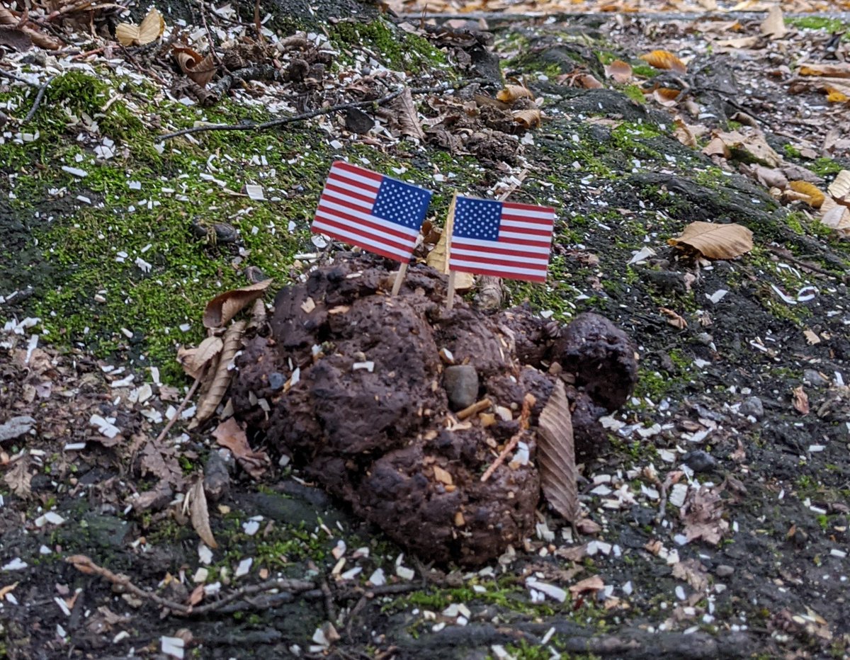 ACABSTUDIOS's tweet image. Seen just now near the Justice Center. What are these cops eating?