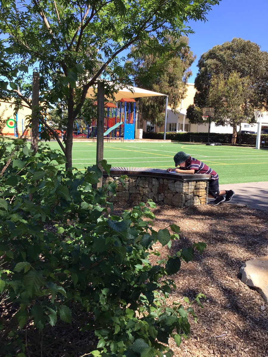 What a wonderful day to be celebrating #OutdoorClassroomDay learning outdoors and collaborating with each other. @AnnesleySA <a href="/AshleighFlavel/">Ashleigh Flavel</a> <a href="/OutdoorClassDay/">Outdoor Classroom Day</a> #learningisfun