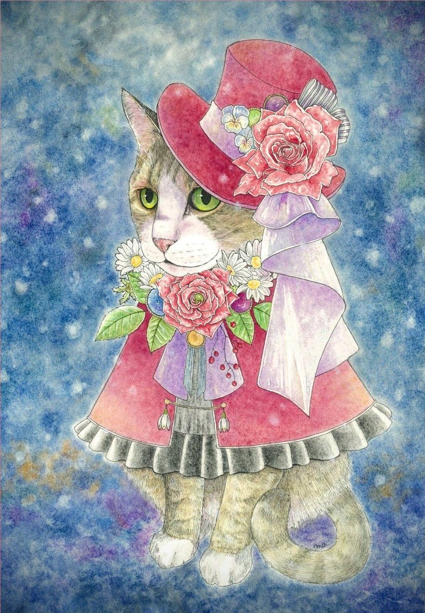 no humans hat flower cat rose top hat hat flower  illustration images