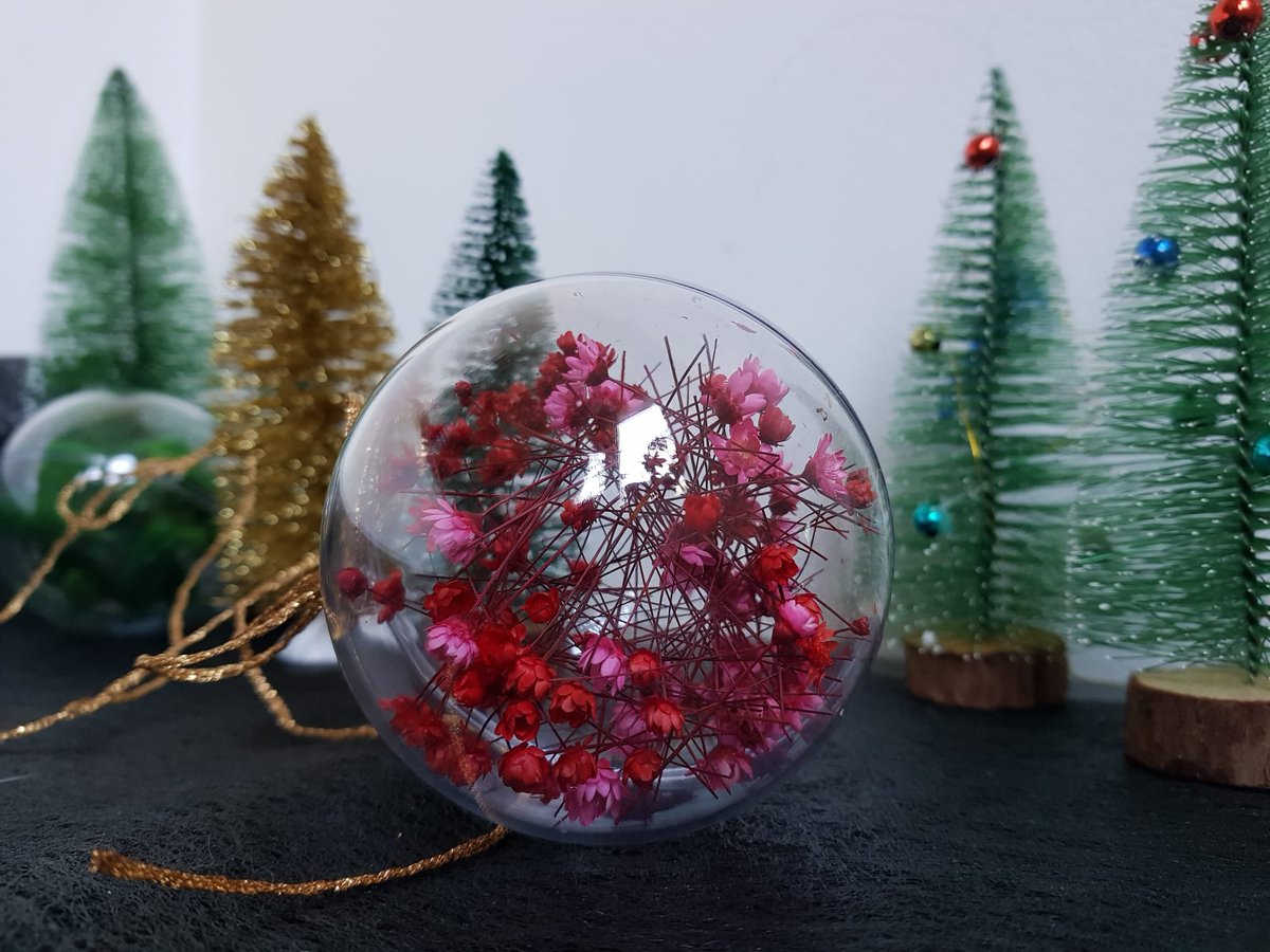 Mossimag tweet media