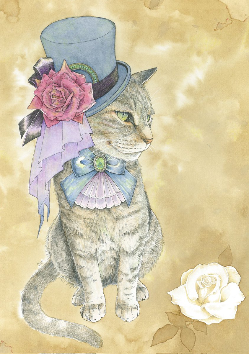 no humans hat flower cat rose top hat hat flower  illustration images