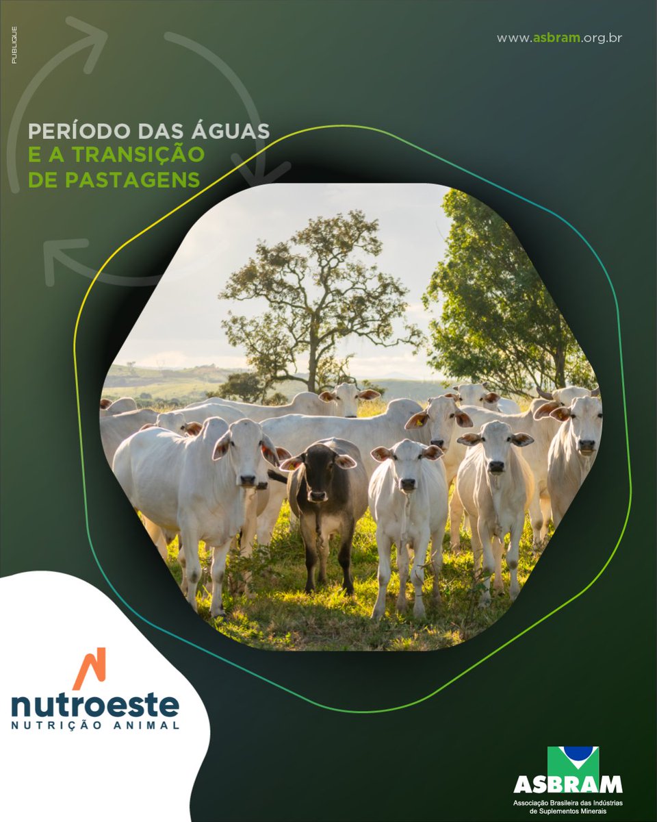 NUTROESTE's tweet photo. Siga @asbram_org
.
#somosnutroeste
.
#nutroeste #pecuaria #pecuária #pecuariadecorte #gadodecorte #nutricaoanimal #pecuarialucrativa #pecuariaforte #nelore #neloreboi #neloreoficial #neloreforte https://t.co/dWa1VPDsii