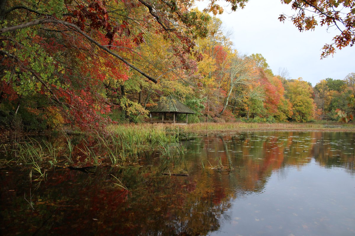 There's still plenty of fall colors to see and experience at Teatown!
#fall #teatown