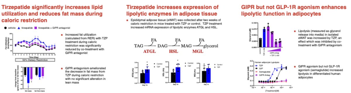 And finally, I'm excited for <a href="/LillyMedical/">Lilly Medical US</a> 's tirzepatide for #obesity because it causes #weight loss not just by caloric restriction (GLP1) but potentially by ↑lipolysis (GIP agonism) -- a rare peripheral mechanism of action 

#pharmacotherapy #weightloss #OW2021