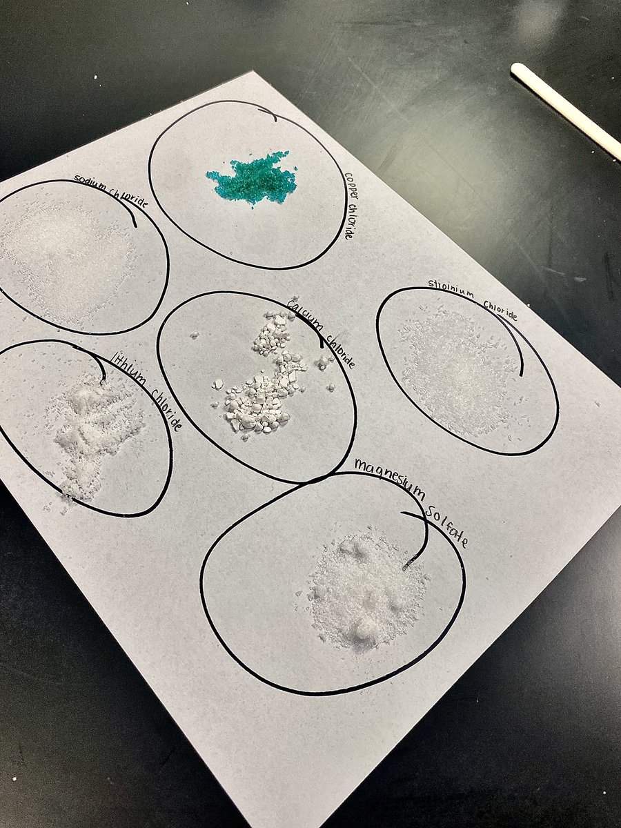 EPuentes_SHMS's tweet photo. L8 testing six chemical compounds to compare their physical & chemical properties @SHMSlouisville #chemistryclass #learninginthelab #handsoninquiry #8thgradescience https://t.co/6RZ2pUCcbm