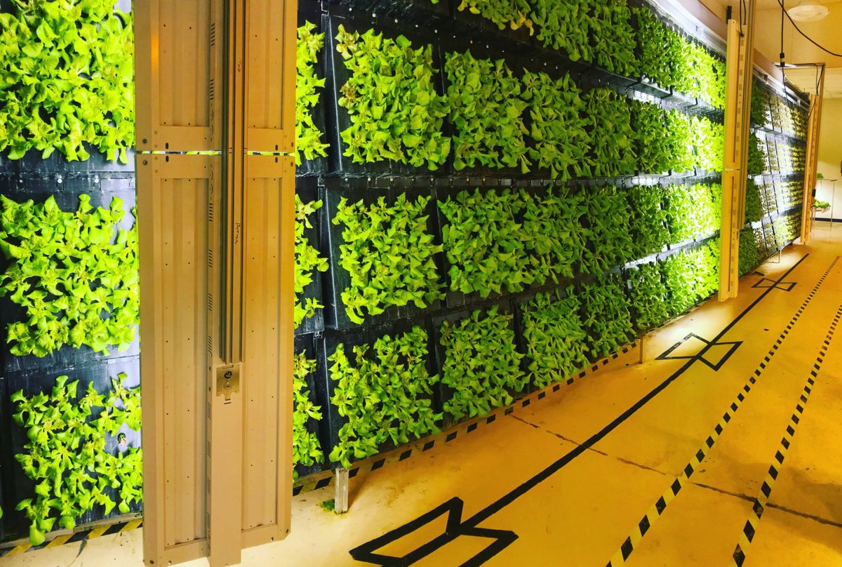 clayandmilk's tweet photo. Indoor farming company @nebullam is partnering with @OmniAnalytics ahead of its upcoming launch of additional Nebullam Farms throughout the U.S.  

https://t.co/7B8F0Gno7Q https://t.co/qlZFSd3XBD