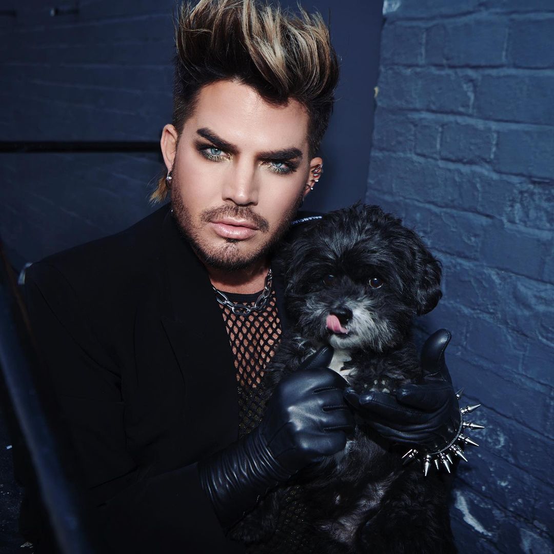 adaml daily tweet media