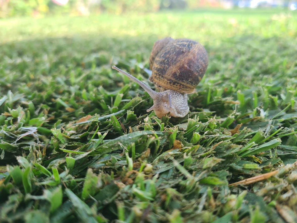 <a href="/MalvarezNadia/">Nadia Álvarez</a> <a href="/ayto_torre/">Ayuntamiento de Torrelodones</a> <a href="/educacmadrid/">Educación▪️Comunidad de Madrid</a> <a href="/IdiazAyuso/">Isabel Díaz Ayuso</a> <a href="/eossoriocrespo/">Enrique Ossorio</a> <a href="/ComunidadMadrid/">Comunidad de Madrid</a>