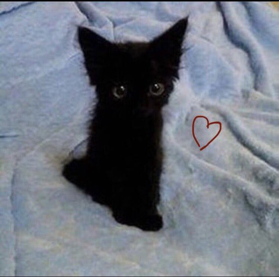 obsessiveruin's tweet image. / my bestest friend null in the whole wide world the skrunky crinkly doo