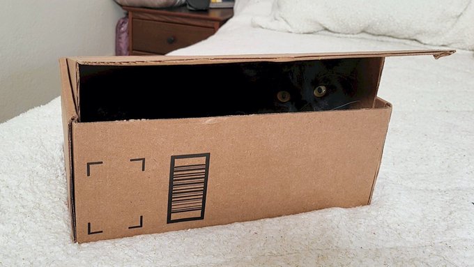 Instead of a 'Jack in the box', I have a 'Joey in the box'! 😂 https://t.co/VDkcNlp2mO